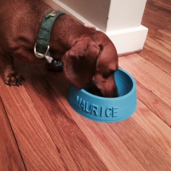 IMG_0717_display_large-600×600