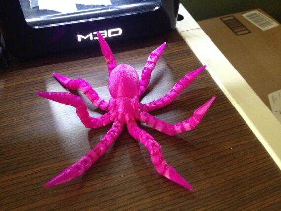 IMG_0813_display_large