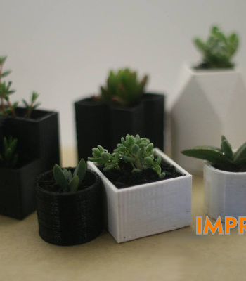 Ajedrez Vegetal Bauhaus