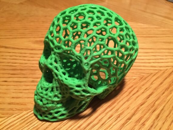 photo_display_large (2)