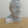 Custom Bust Natural Size I3D