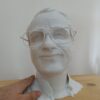 Custom Bust Natural Size I3D