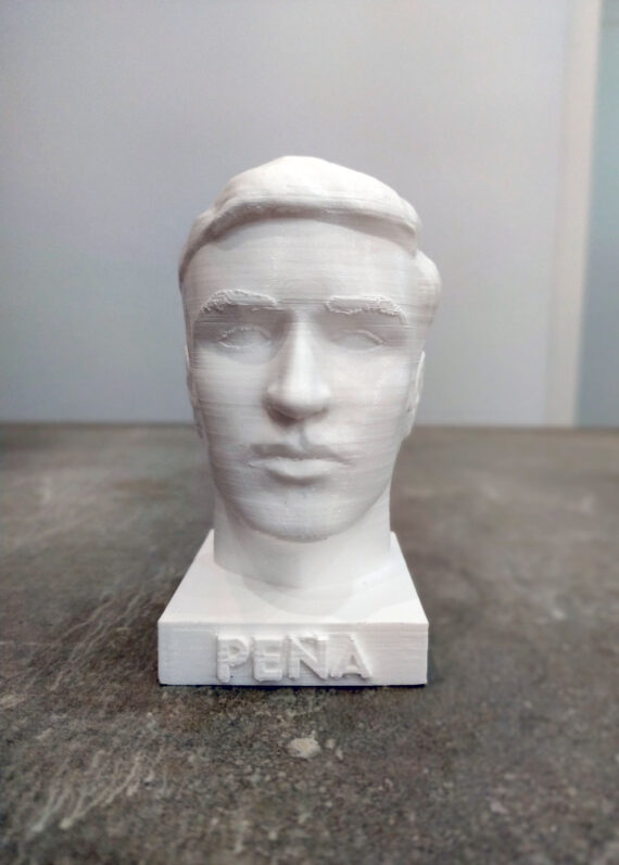 Custom Bust