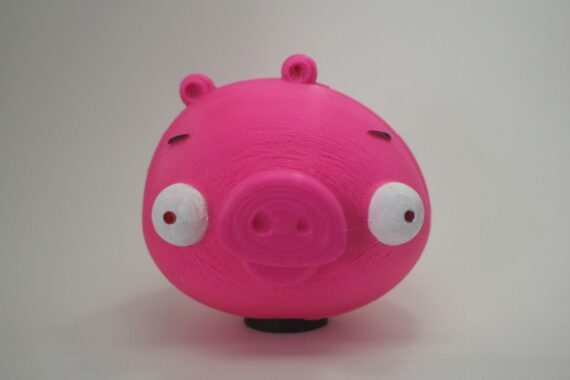 IMG_6496_display_large