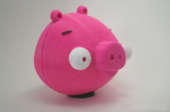 IMG_6497_display_large