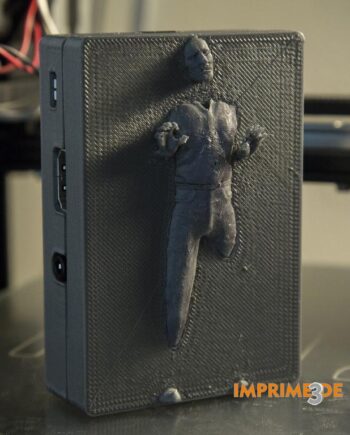 Hans Solo en carbonita para Raspberry - imprimetresde