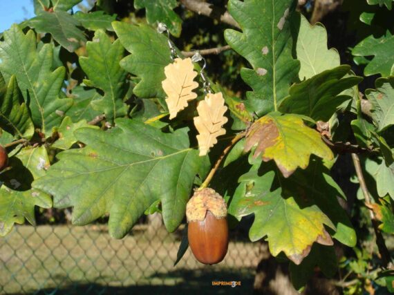 pendienteshojaderoble_opt