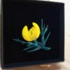 Broche Chorima1_opt Broche Chorima