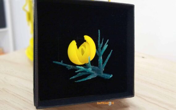 Broche Chorima