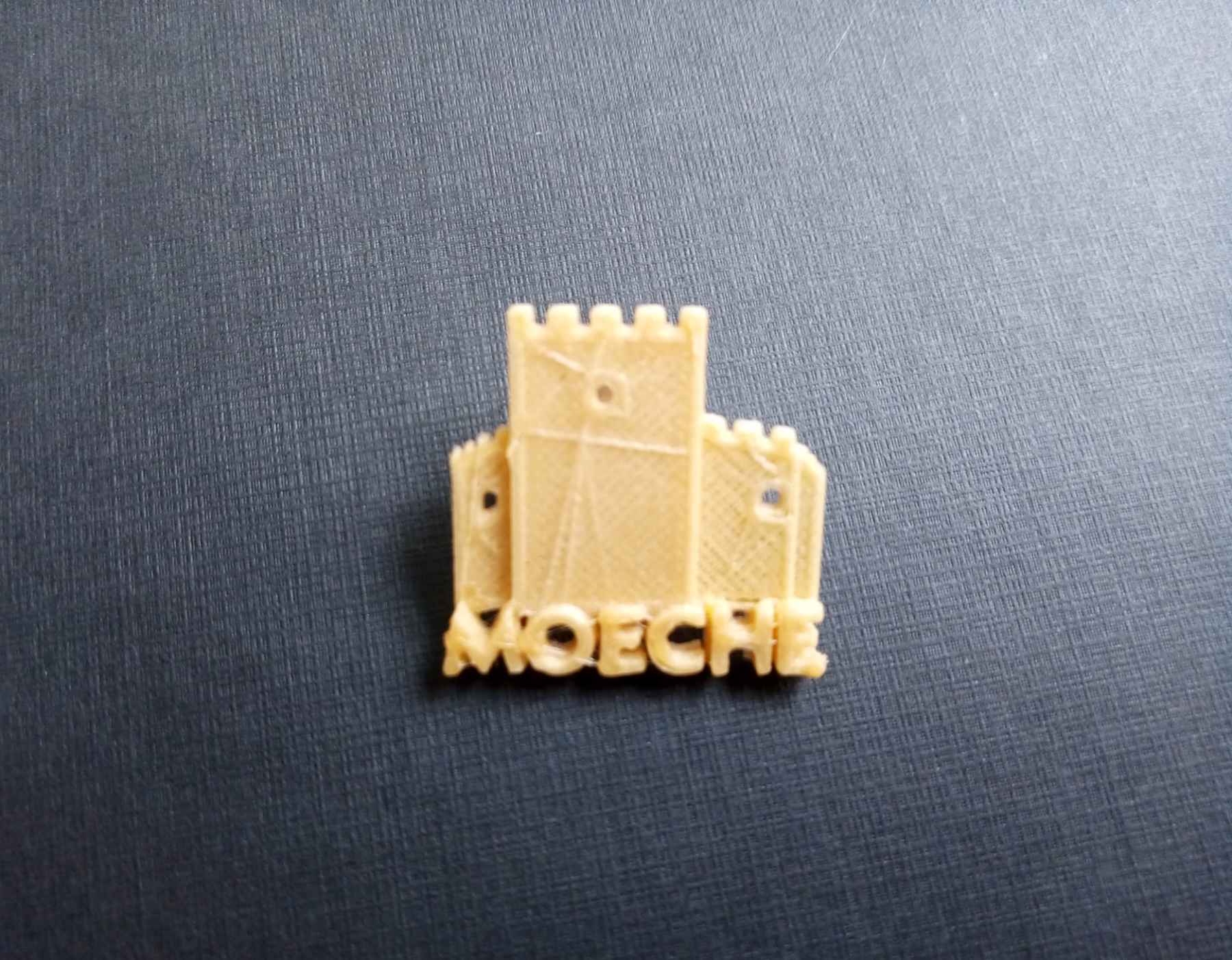 Pin Castelo Moeche I3D