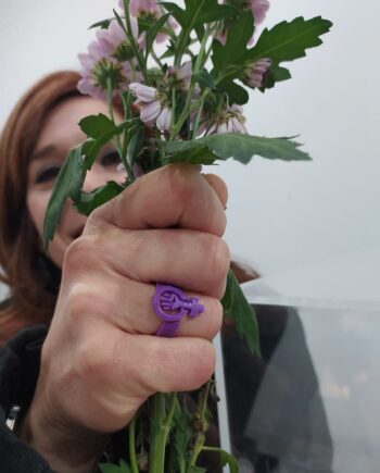 Anel Feminista I3D