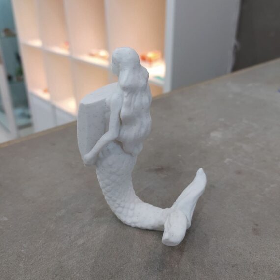 SEREA de Castelao BACK3