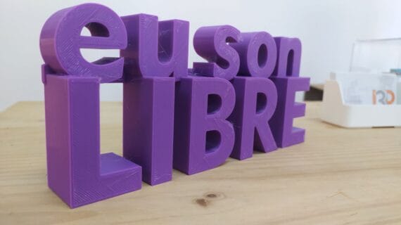 EU SON LIBRE FRONT IIjpg